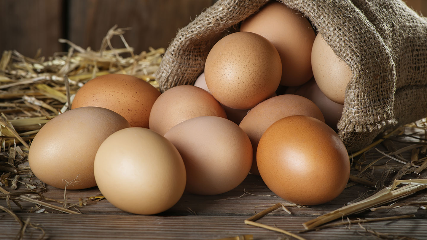 Welche Eier sollen's sein? Welche Eier sollen es sein?