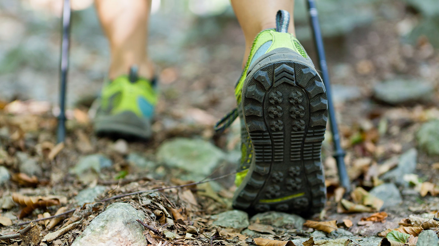 Nordic Walking – das perfekte Ganzjahrestraining Nordic Walking als perfektes Ausdauertraining