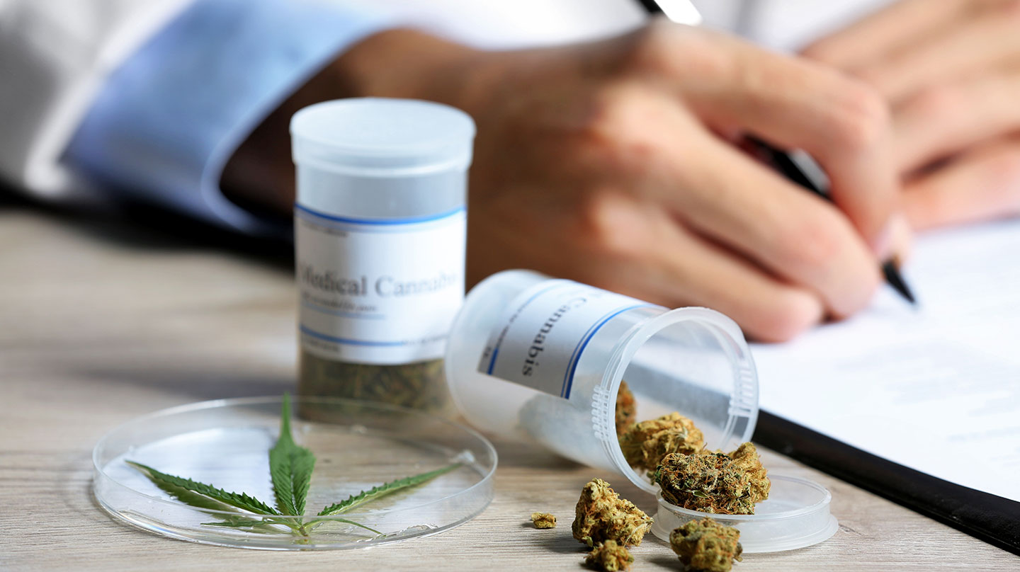Das neue Cannabisgesetz – was ändert sich für medizinisches Cannabis? Medizinisches Cannabis