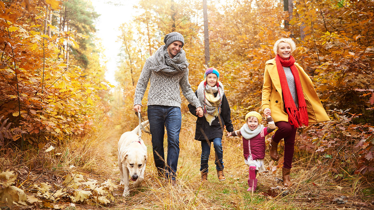 Herbstblues oder gestresst? So hilft die Natur Herbstblues: Junge Familie mit zwei kleinen Kindern und Hund spazieren gut gelaunt durch den Herbstwald.